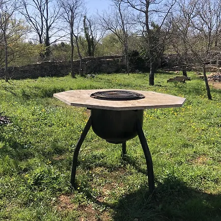 En Bois Sejour Insolite Sous Les Etoiles