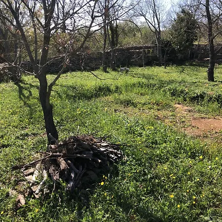 En Bois Sejour Insolite Sous Les Etoiles Le Garn